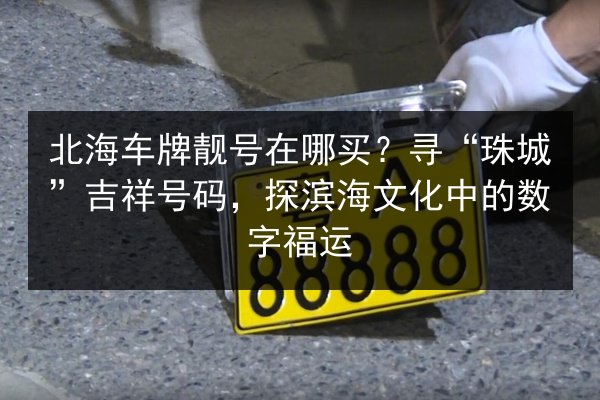 北海车牌靓号在哪买?寻“珠城”吉祥号码,探滨海文化中的数字福运 第2张 北海车牌靓号在哪买?寻“珠城”吉祥号码,探滨海文化中的数字福运 第2张