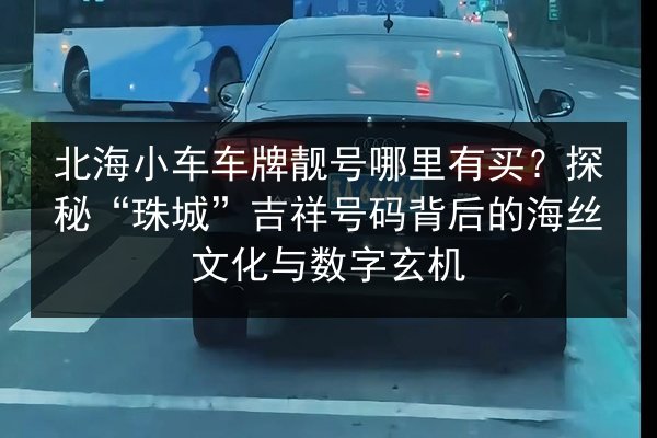 北海小车车牌靓号哪里有买？探秘“珠城”吉祥号码背后的海丝文化与数字玄机 第2张