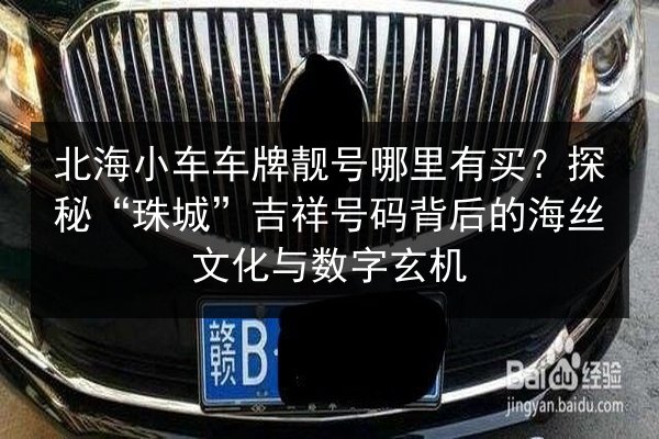北海小车车牌靓号哪里有买？探秘“珠城”吉祥号码背后的海丝文化与数字玄机 第3张