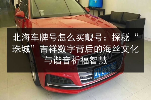 北海车牌号怎么买靓号：探秘“珠城”吉祥数字背后的海丝文化与谐音祈福智慧 第3张