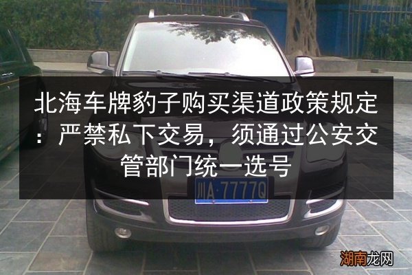 北海车牌豹子购买渠道政策规定：严禁私下交易，须通过公安交管部门统一选号 第2张