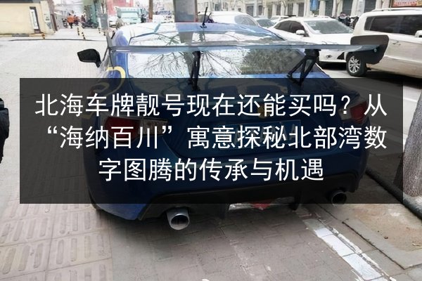 北海车牌靓号现在还能买吗?从“海纳百川”寓意探秘北部湾数字图腾的传承与机遇 第2张 北海车牌靓号现在还能买吗?从“海纳百川”寓意探秘北部湾数字图腾的传承与机遇 第2张