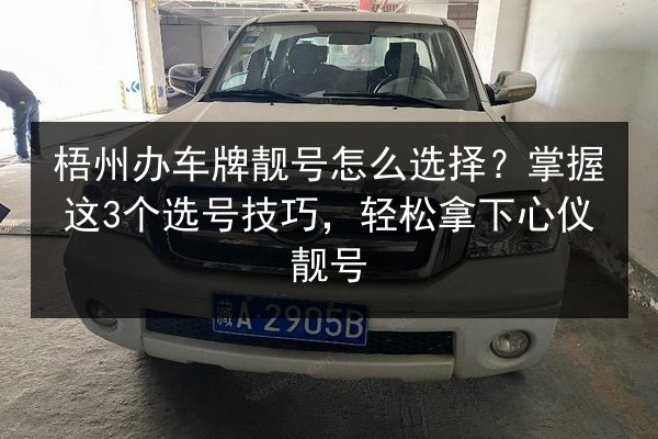 梧州办车牌靓号怎么选择？掌握这3个选号技巧，轻松拿下心仪靓号