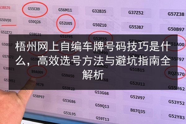 梧州网上自编车牌号码技巧是什么，高效选号方法与避坑指南全解析 第2张