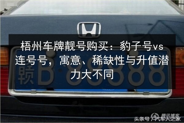 梧州车牌靓号购买：豹子号vs连号号，寓意、稀缺性与升值潜力大不同 第2张