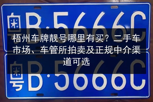 梧州车牌靓号哪里有买？二手车市场、车管所拍卖及正规中介渠道可选 第2张