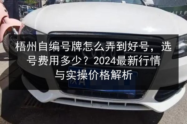 梧州自编号牌怎么弄到好号，选号费用多少？2024最新行情与实操价格解析 第2张