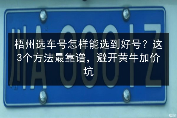 梧州选车号怎样能选到好号?这3个方法最靠谱,避开黄牛加价坑 第3张 梧州选车号怎样能选到好号?这3个方法最靠谱,避开黄牛加价坑 第3张