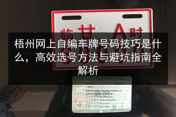 梧州网上自编车牌号码技巧是什么，高效选号方法与避坑指南全解析 第3张