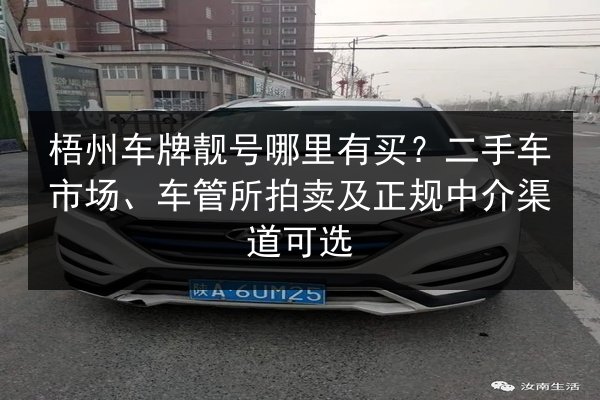梧州车牌靓号哪里有买？二手车市场、车管所拍卖及正规中介渠道可选 第3张