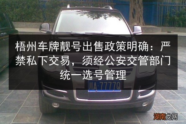 梧州车牌靓号出售政策明确:严禁私下交易,须经公安交管部门统一选号管理 第3张 梧州车牌靓号出售政策明确:严禁私下交易,须经公安交管部门统一选号管理 第3张