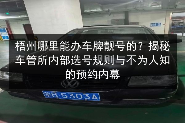 梧州哪里能办车牌靓号的？揭秘车管所内部选号规则与不为人知的预约内幕 第2张