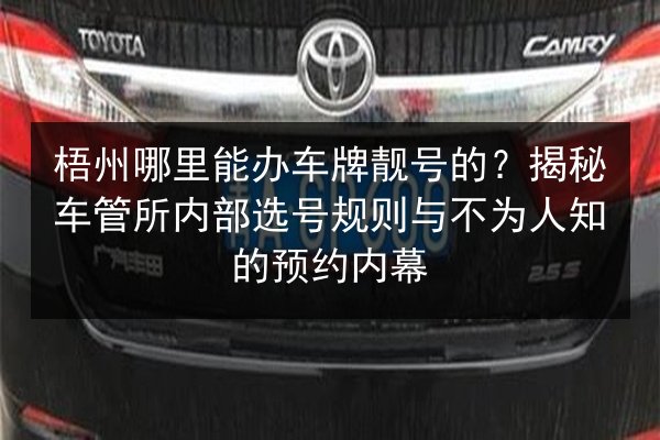 梧州哪里能办车牌靓号的？揭秘车管所内部选号规则与不为人知的预约内幕 第3张
