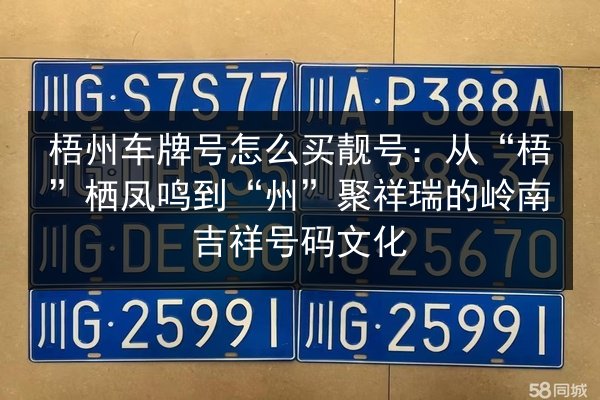 梧州车牌号怎么买靓号：从“梧”栖凤鸣到“州”聚祥瑞的岭南吉祥号码文化