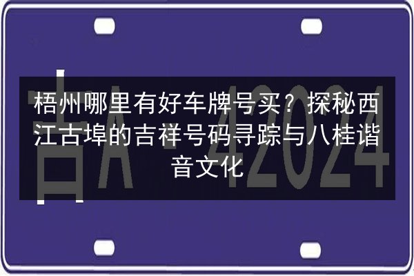 梧州哪里有好车牌号买？探秘西江古埠的吉祥号码寻踪与八桂谐音文化 第2张