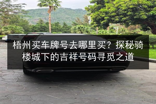 梧州买车牌号去哪里买？探秘骑楼城下的吉祥号码寻觅之道 第2张