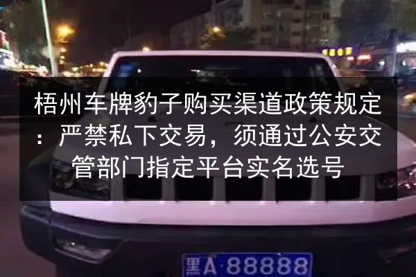 梧州车牌豹子购买渠道政策规定：严禁私下交易，须通过公安交管部门指定平台实名选号