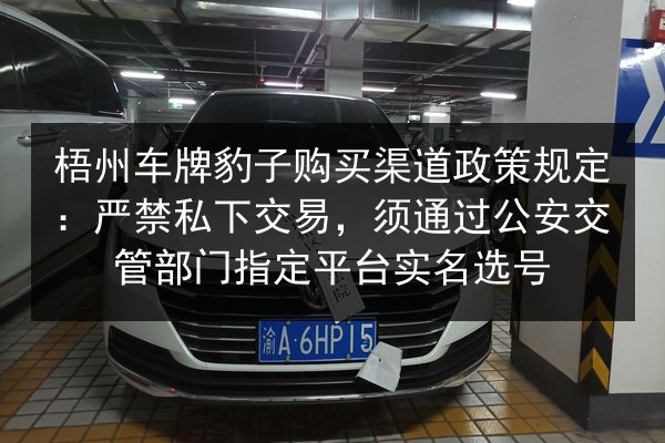 梧州车牌豹子购买渠道政策规定:严禁私下交易,须通过公安交管部门指定平台实名选号 第2张 梧州车牌豹子购买渠道政策规定:严禁私下交易,须通过公安交管部门指定平台实名选号 第2张