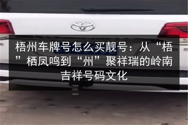 梧州车牌号怎么买靓号:从“梧”栖凤鸣到“州”聚祥瑞的岭南吉祥号码文化 第2张 梧州车牌号怎么买靓号:从“梧”栖凤鸣到“州”聚祥瑞的岭南吉祥号码文化 第2张