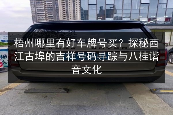 梧州哪里有好车牌号买？探秘西江古埠的吉祥号码寻踪与八桂谐音文化 第3张