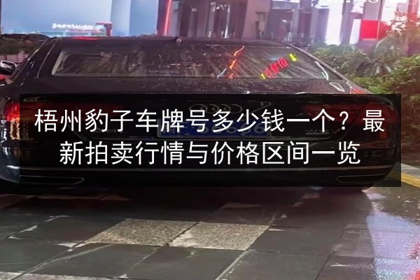 梧州豹子车牌号多少钱一个？最新拍卖行情与价格区间一览 第2张