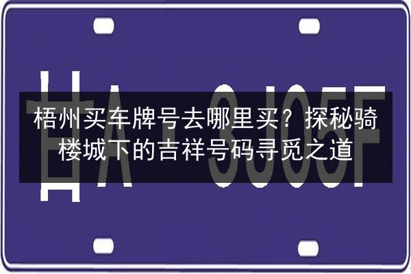 梧州买车牌号去哪里买？探秘骑楼城下的吉祥号码寻觅之道 第3张