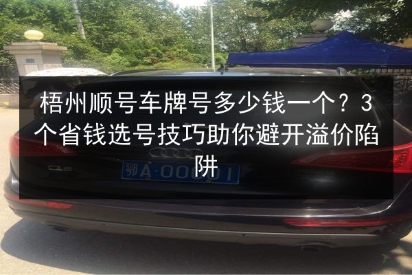 梧州顺号车牌号多少钱一个？3个省钱选号技巧助你避开溢价陷阱 第3张