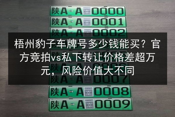 梧州豹子车牌号多少钱能买？官方竞拍vs私下转让价格差超万元，风险价值大不同 第2张