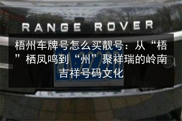 梧州车牌号怎么买靓号:从“梧”栖凤鸣到“州”聚祥瑞的岭南吉祥号码文化 第3张 梧州车牌号怎么买靓号:从“梧”栖凤鸣到“州”聚祥瑞的岭南吉祥号码文化 第3张
