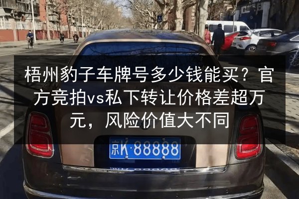 梧州豹子车牌号多少钱能买？官方竞拍vs私下转让价格差超万元，风险价值大不同 第3张