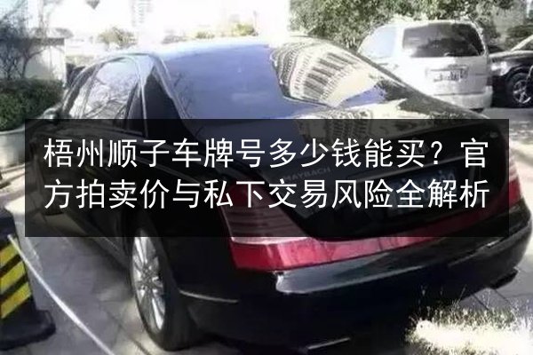 梧州顺子车牌号多少钱能买?官方拍卖价与私下交易风险全解析 第2张 梧州顺子车牌号多少钱能买?官方拍卖价与私下交易风险全解析 第2张