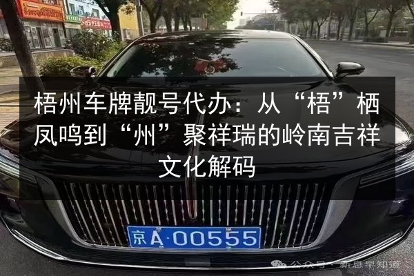 梧州车牌靓号代办：从“梧”栖凤鸣到“州”聚祥瑞的岭南吉祥文化解码 第1张
