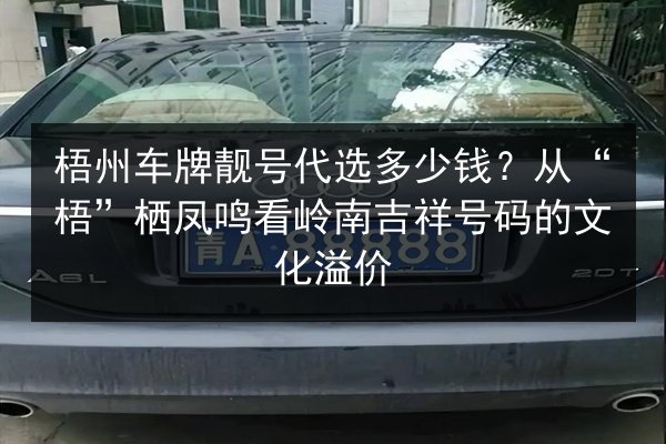 梧州车牌靓号代选多少钱?从“梧”栖凤鸣看岭南吉祥号码的文化溢价 第3张 梧州车牌靓号代选多少钱?从“梧”栖凤鸣看岭南吉祥号码的文化溢价 第3张