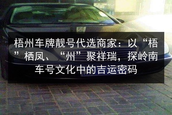 梧州车牌靓号代选商家:以“梧”栖凤、“州”聚祥瑞,探岭南车号文化中的吉运密码 第2张 梧州车牌靓号代选商家:以“梧”栖凤、“州”聚祥瑞,探岭南车号文化中的吉运密码 第2张