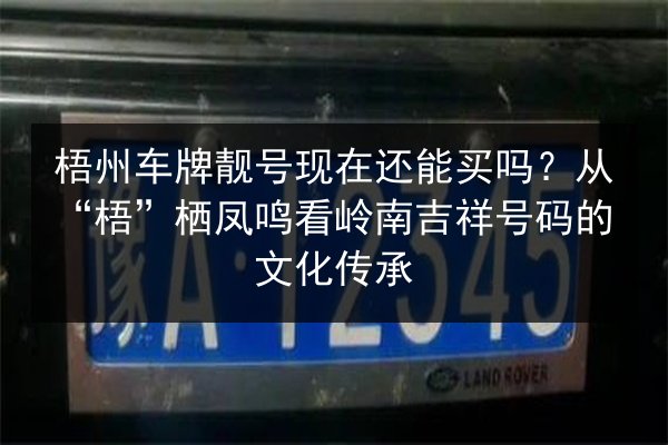 梧州车牌靓号现在还能买吗?从“梧”栖凤鸣看岭南吉祥号码的文化传承 第2张 梧州车牌靓号现在还能买吗?从“梧”栖凤鸣看岭南吉祥号码的文化传承 第2张