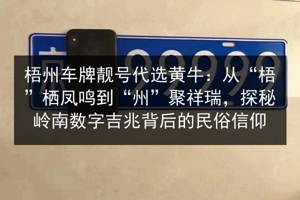 梧州车牌靓号代选黄牛：从“梧”栖凤鸣到“州”聚祥瑞，探秘岭南数字吉兆背后的民俗信仰 第3张
