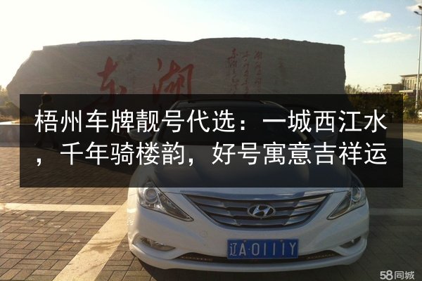 梧州车牌靓号代选:一城西江水,千年骑楼韵,好号寓意吉祥运 第3张 梧州车牌靓号代选:一城西江水,千年骑楼韵,好号寓意吉祥运 第3张