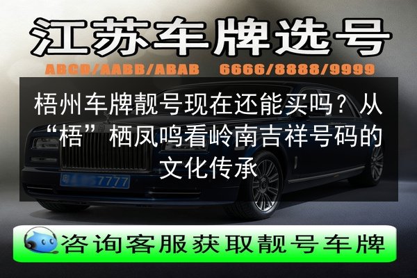 梧州车牌靓号现在还能买吗?从“梧”栖凤鸣看岭南吉祥号码的文化传承 第3张 梧州车牌靓号现在还能买吗?从“梧”栖凤鸣看岭南吉祥号码的文化传承 第3张