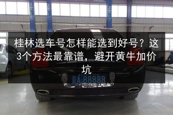 桂林选车号怎样能选到好号?这3个方法最靠谱,避开黄牛加价坑 第2张 桂林选车号怎样能选到好号?这3个方法最靠谱,避开黄牛加价坑 第2张