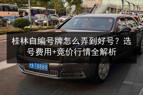 桂林自编号牌怎么弄到好号？选号费用+竞价行情全解析 第3张