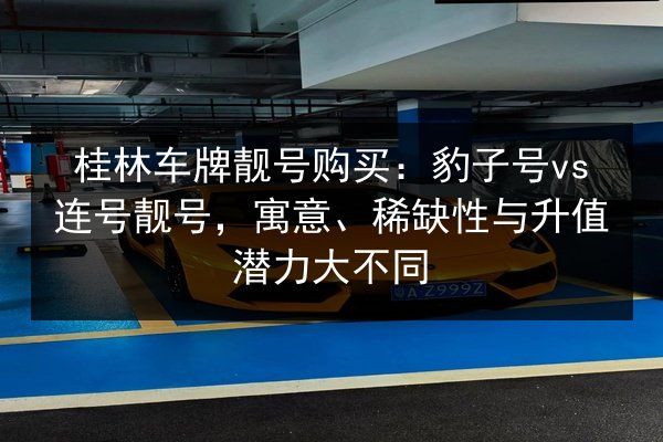 桂林车牌靓号购买:豹子号vs连号靓号,寓意、稀缺性与升值潜力大不同 第1张 桂林车牌靓号购买:豹子号vs连号靓号,寓意、稀缺性与升值潜力大不同 第1张