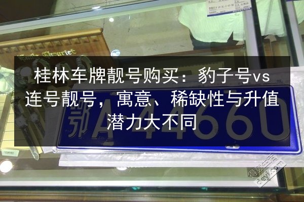 桂林车牌靓号购买:豹子号vs连号靓号,寓意、稀缺性与升值潜力大不同 第2张 桂林车牌靓号购买:豹子号vs连号靓号,寓意、稀缺性与升值潜力大不同 第2张