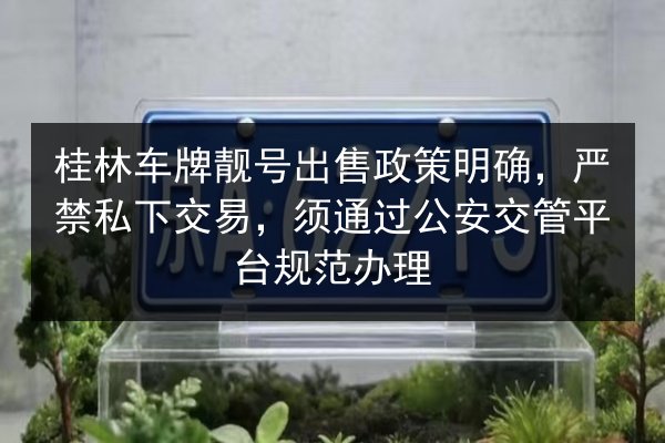 桂林车牌靓号出售政策明确，严禁私下交易，须通过公安交管平台规范办理 第3张