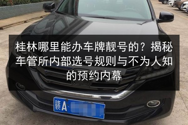桂林哪里能办车牌靓号的?揭秘车管所内部选号规则与不为人知的预约内幕 第2张 桂林哪里能办车牌靓号的?揭秘车管所内部选号规则与不为人知的预约内幕 第2张