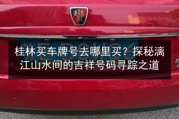 桂林买车牌号去哪里买?探秘漓江山水间的吉祥号码寻踪之道 第2张 桂林买车牌号去哪里买?探秘漓江山水间的吉祥号码寻踪之道 第2张