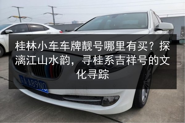 桂林小车车牌靓号哪里有买?探漓江山水韵,寻桂系吉祥号的文化寻踪 第2张 桂林小车车牌靓号哪里有买?探漓江山水韵,寻桂系吉祥号的文化寻踪 第2张