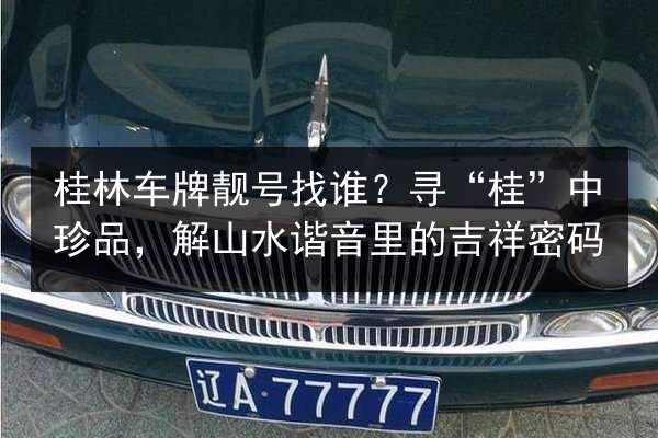 桂林车牌靓号找谁?寻“桂”中珍品,解山水谐音里的吉祥密码 第2张 桂林车牌靓号找谁?寻“桂”中珍品,解山水谐音里的吉祥密码 第2张