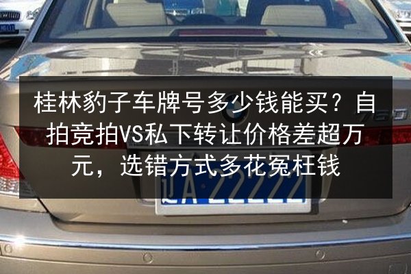桂林豹子车牌号多少钱能买?自拍竞拍VS私下转让价格差超万元,选错方式多花冤枉钱 第2张 桂林豹子车牌号多少钱能买?自拍竞拍VS私下转让价格差超万元,选错方式多花冤枉钱 第2张