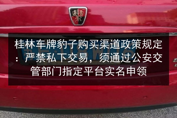 桂林车牌豹子购买渠道政策规定:严禁私下交易,须通过公安交管部门指定平台实名申领 第2张 桂林车牌豹子购买渠道政策规定:严禁私下交易,须通过公安交管部门指定平台实名申领 第2张