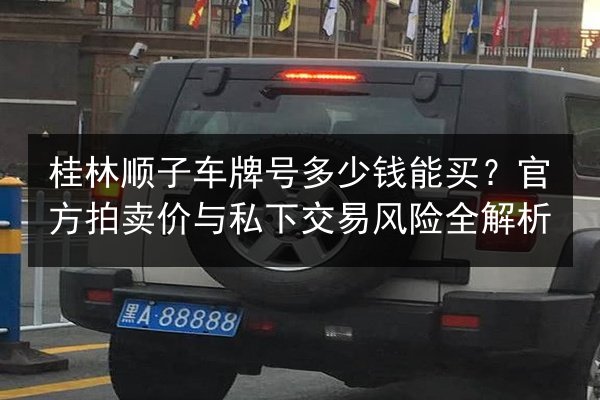 桂林顺子车牌号多少钱能买？官方拍卖价与私下交易风险全解析 第2张